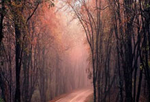 OD体育:2024歐洲杯主辦城市:場館指南.