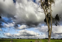 OD体育官网:【中甲联赛】最后时刻连入三球 广州队首尝两连胜.