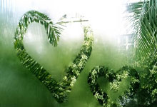 OD体育平台:2022年歐美杯決賽時間.