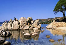 21-22賽季德甲聯賽第16輪比賽集錦.